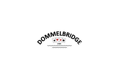 Dommelbridge (logo)